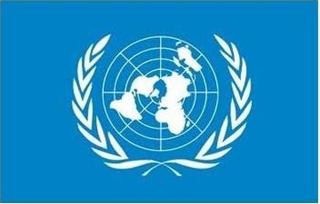 Bandiera ONU